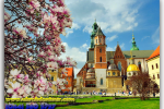 Krakow. Poland. Travel from Kiev to Ukrainian Tour (044) 360 5737