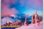 New Year in the Carpathians, Rest in Bukovel. Travel from Kiev to Ukrainian Tour (044) 360 5737