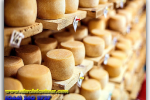 Cheese tasting. Travel from Kiev to Ukrainian Tour (044) 360 5737