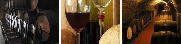 'Старый подвал' в Берегово. Дегустация Закарпатских вин. Старый подвал в Берегово